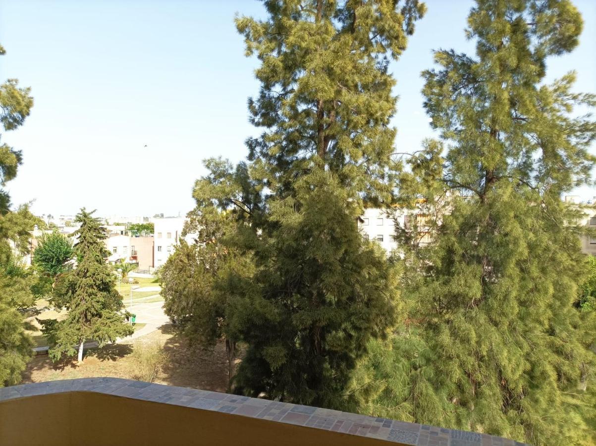 Super Luminoso Y Muy Tranquilo Con 2 Dormitorios Jerez de la Frontera Zewnętrze zdjęcie